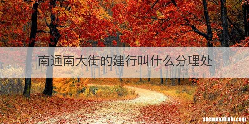 南通南大街的建行叫什么分理处