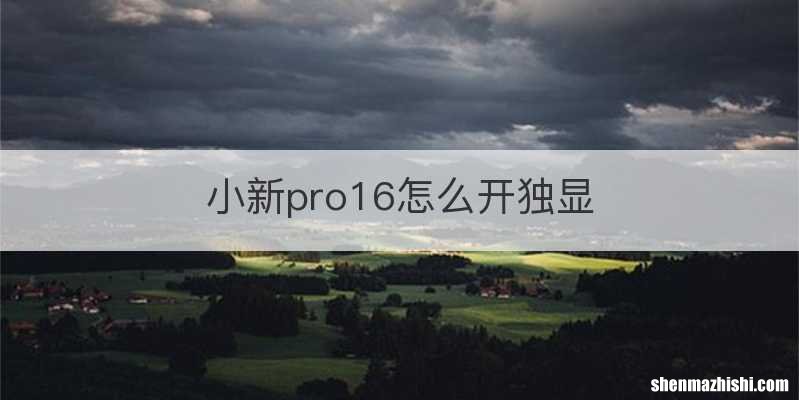 小新pro16怎么开独显
