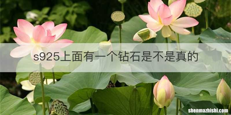 s925上面有一个钻石是不是真的