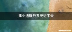 建业通服务系统进不去