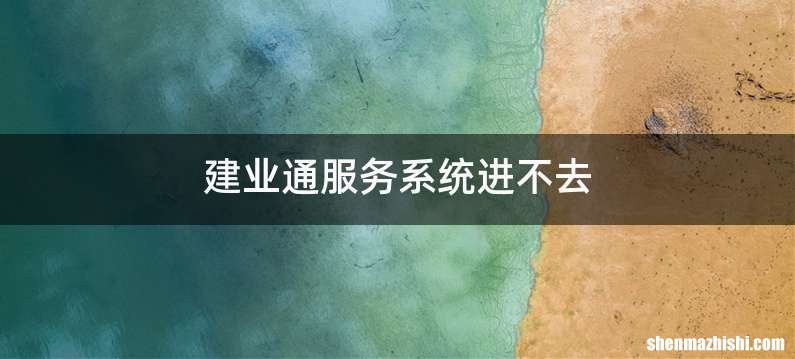 建业通服务系统进不去