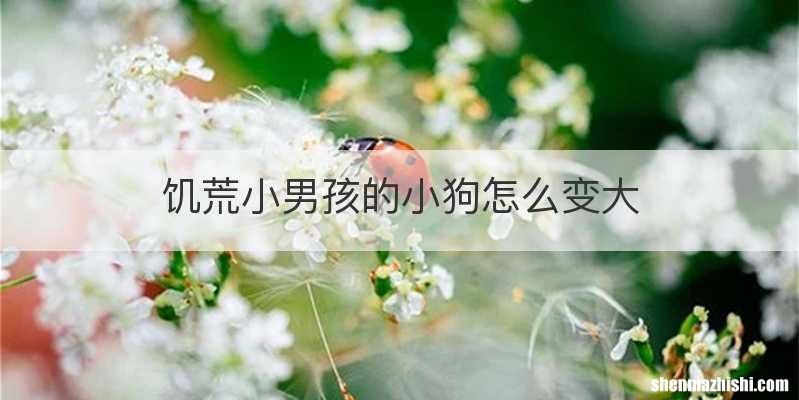 饥荒小男孩的小狗怎么变大