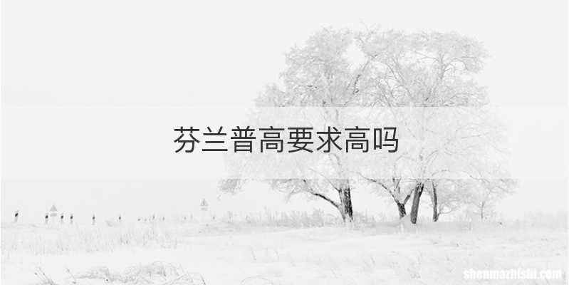 芬兰普高要求高吗