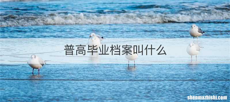 普高毕业档案叫什么