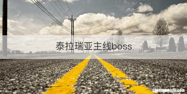 泰拉瑞亚主线boss