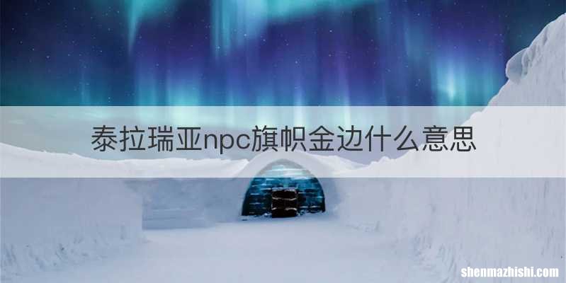 泰拉瑞亚npc旗帜金边什么意思