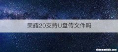 荣耀20支持U盘传文件吗