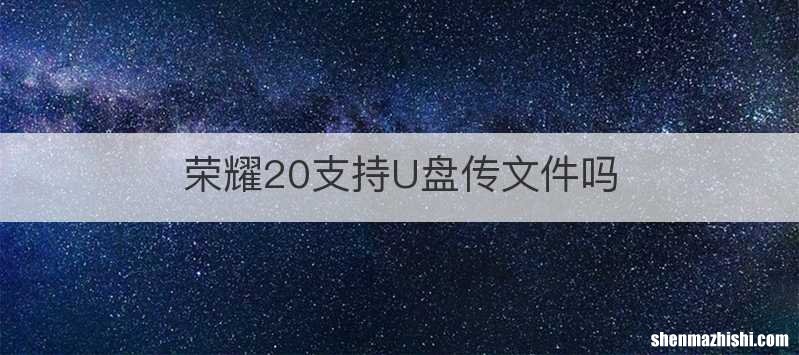 荣耀20支持U盘传文件吗