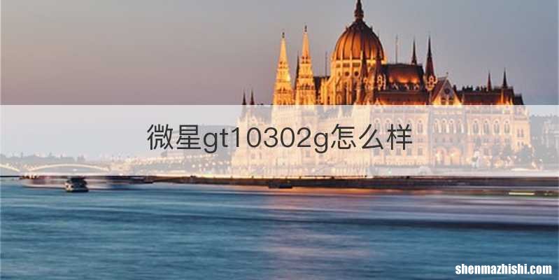 微星gt10302g怎么样