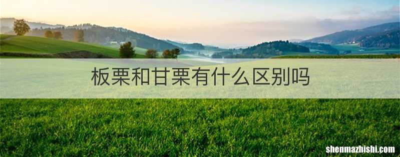 板栗和甘栗有什么区别吗