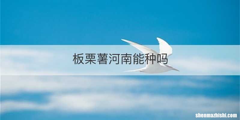 板栗薯河南能种吗
