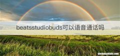 beatsstudiobuds可以语音通话吗