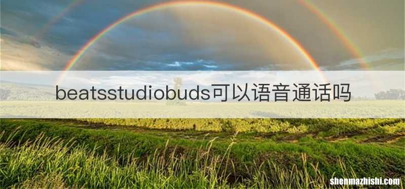 beatsstudiobuds可以语音通话吗