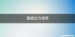 曼城主力球员