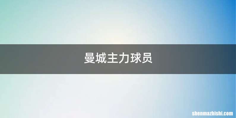 曼城主力球员