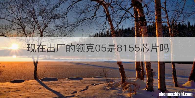 现在出厂的领克05是8155芯片吗