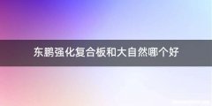 东鹏强化复合板和大自然哪个好