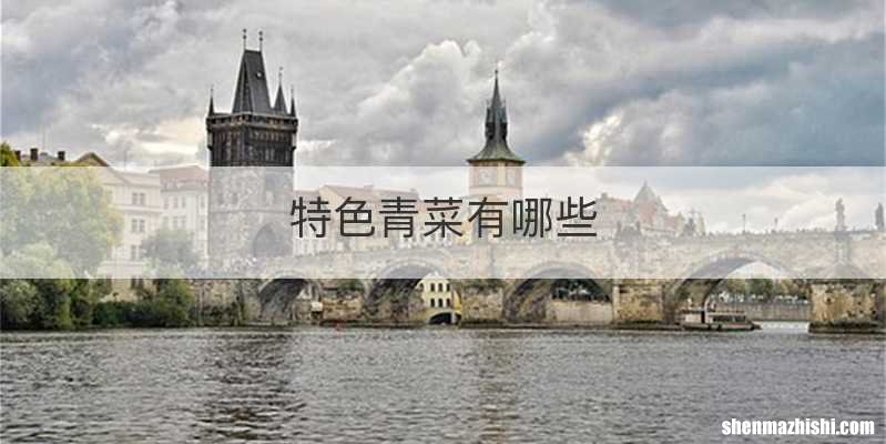 特色青菜有哪些