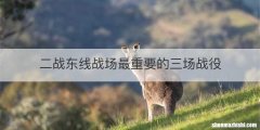 二战东线战场最重要的三场战役