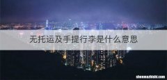 无托运及手提行李是什么意思
