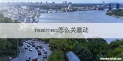 realmeq怎么关震动