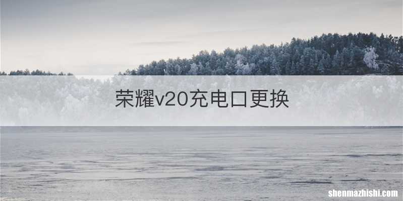 荣耀v20充电口更换