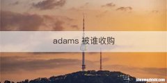 adams 被谁收购
