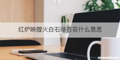 红炉映膛火白石绿苍苔什么意思