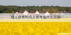 成人自考和成人高考有什么区别