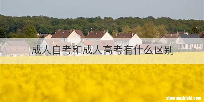成人自考和成人高考有什么区别