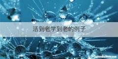 活到老学到老的例子