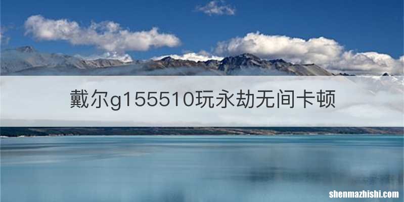 戴尔g155510玩永劫无间卡顿