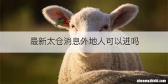 最新太仓消息外地人可以进吗