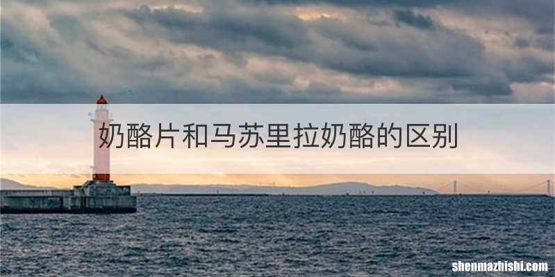 奶酪片和马苏里拉奶酪的区别