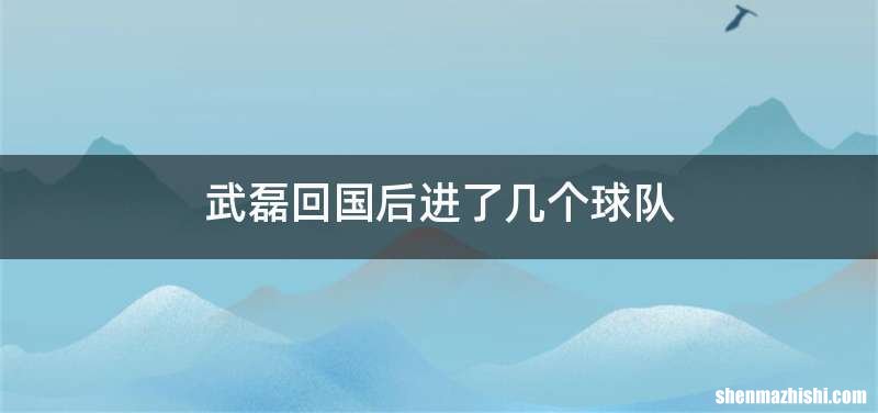 武磊回国后进了几个球队