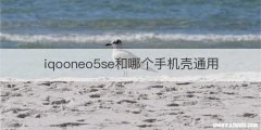iqooneo5se和哪个手机壳通用