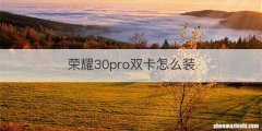 荣耀30pro双卡怎么装