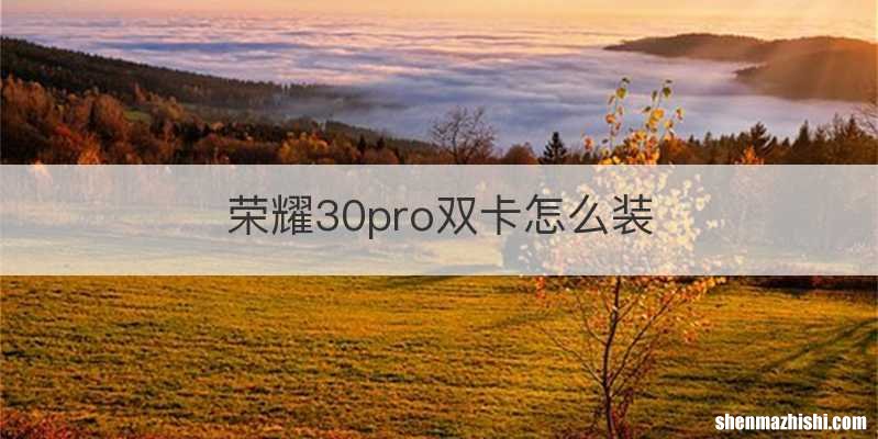 荣耀30pro双卡怎么装