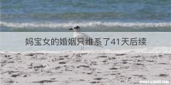 妈宝女的婚姻只维系了41天后续