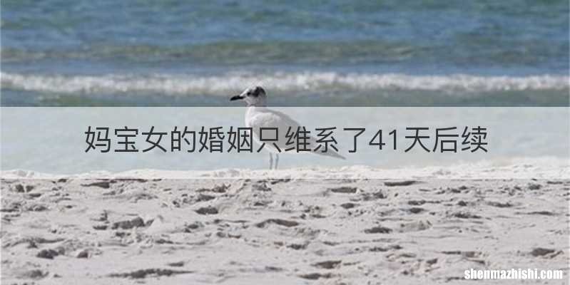 妈宝女的婚姻只维系了41天后续