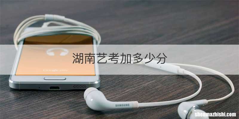 湖南艺考加多少分