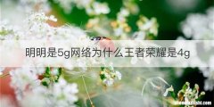 明明是5g网络为什么王者荣耀是4g