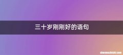 三十岁刚刚好的语句
