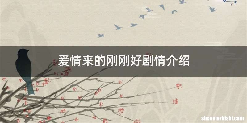 爱情来的刚刚好剧情介绍