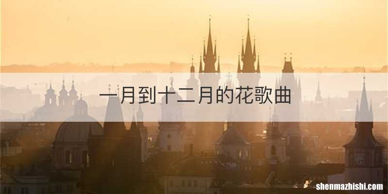 一月到十二月的花歌曲
