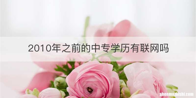 2010年之前的中专学历有联网吗