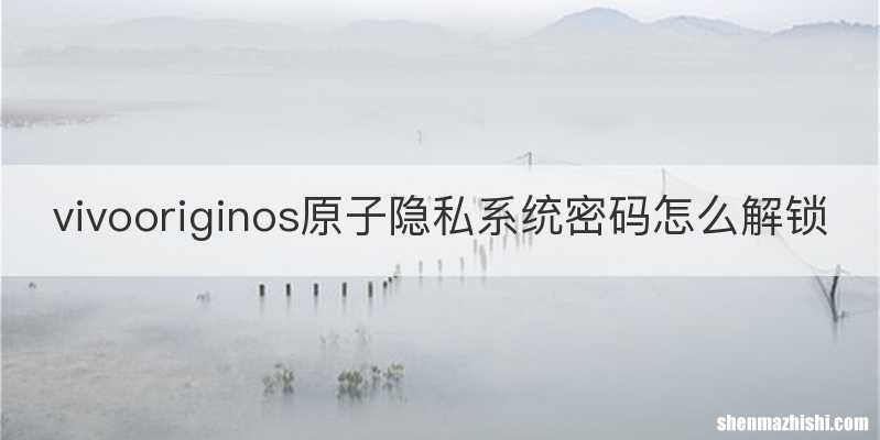 vivooriginos原子隐私系统密码怎么解锁