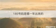 185号码是哪一年出来的