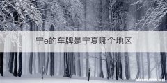 宁e的车牌是宁夏哪个地区