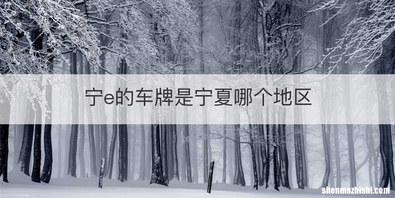 宁e的车牌是宁夏哪个地区